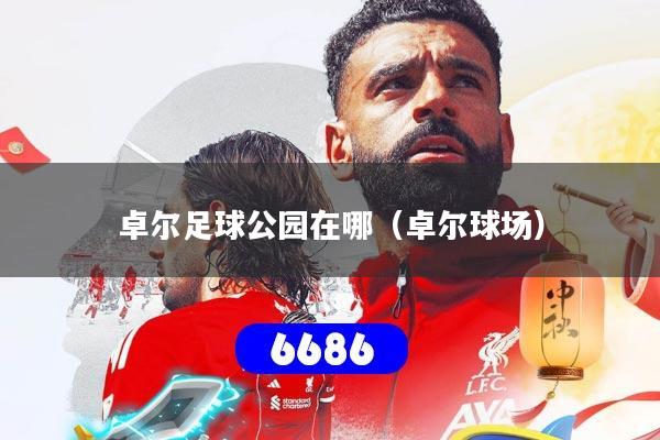 卓尔足球公园在哪（卓尔球场）